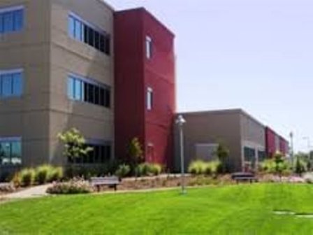 Office Building Foliage Management Business For Sale